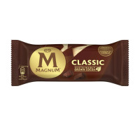 magnum 110 ml